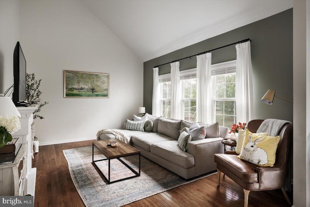 47 Orleans Dr, Shepherdstown, WV 25443 - living area featuring dark wood-style flooring, high vaulted ceiling, and baseboards