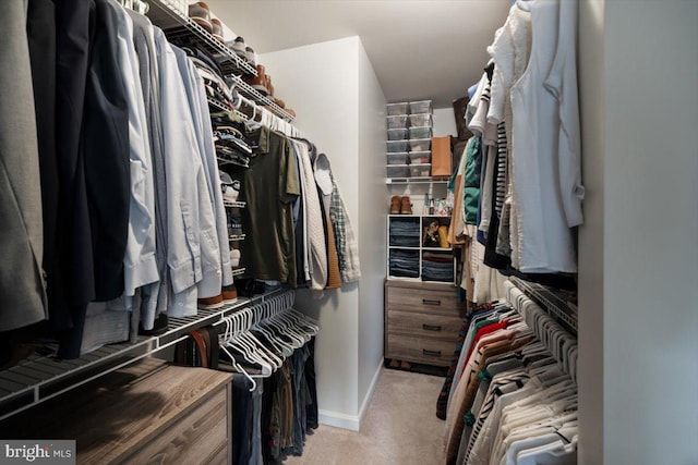 47 Orleans Dr, Shepherdstown, WV 25443 - spacious closet with carpet