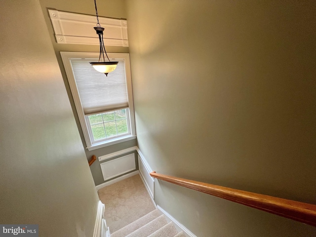 126 Greenway St, Fredericksburg, VA 22405 - stairway featuring carpet floors and baseboards