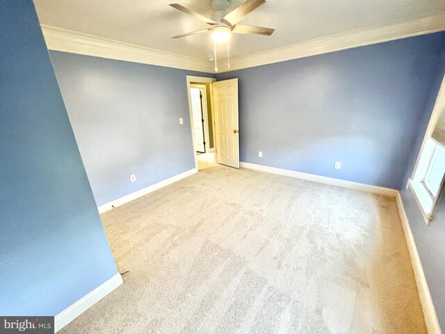 126 Greenway St, Fredericksburg, VA 22405 - carpeted spare room featuring crown molding, a ceiling fan, and baseboards