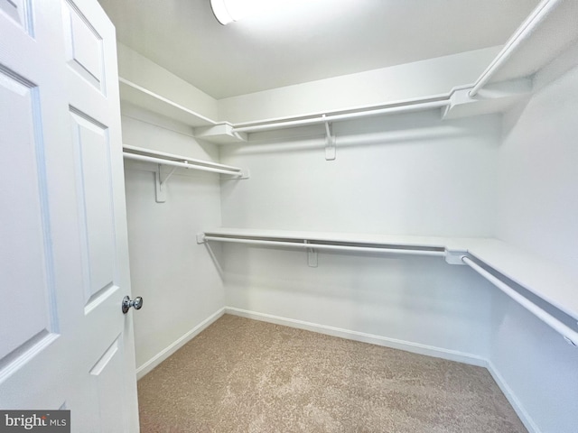 126 Greenway St, Fredericksburg, VA 22405 - spacious closet featuring carpet
