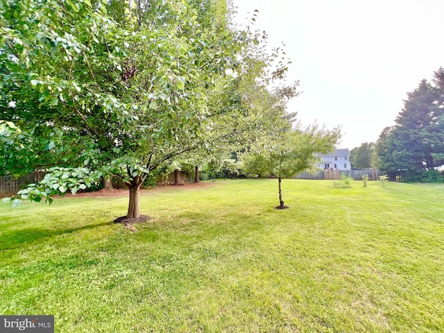 126 Greenway St, Fredericksburg, VA 22405 - view of yard