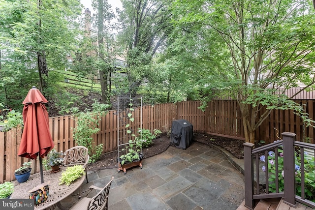 7414 Golden Horseshoe Ct, Springfield, VA 22153 - fenced backyard with a patio and grilling area