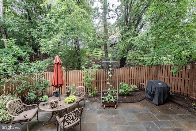 7414 Golden Horseshoe Ct, Springfield, VA 22153 - fenced backyard featuring a patio area and a grill