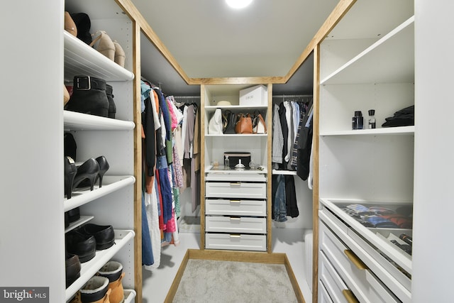 100 Shenandoah Rd, Cinnaminson, NJ 08077 - view of spacious closet