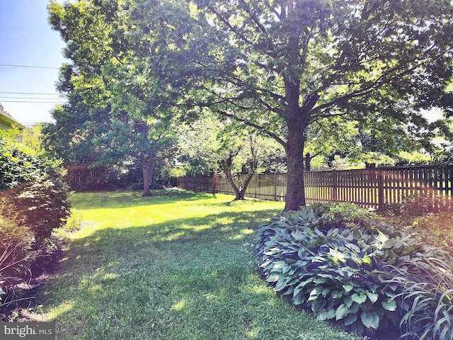 9109 Carlisle Ave, Baltimore, MD 21236 - view of yard