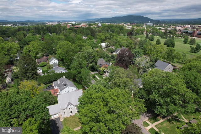 441-445 Ridge Ave, State College, PA 16803 - aerial view of mountains