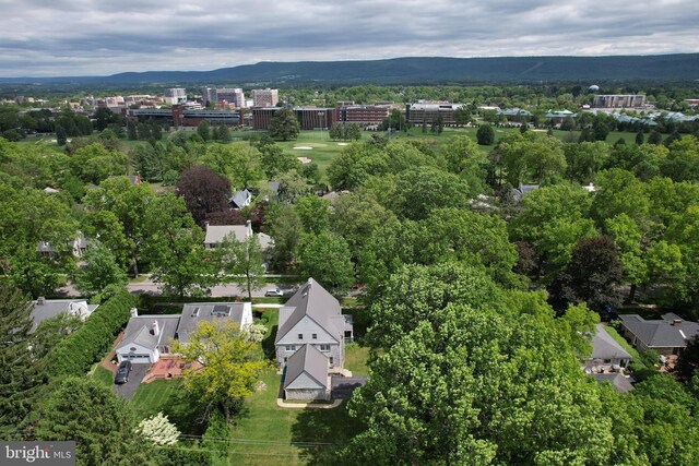 441-445 Ridge Ave, State College, PA 16803 - aerial view of a mountain backdrop