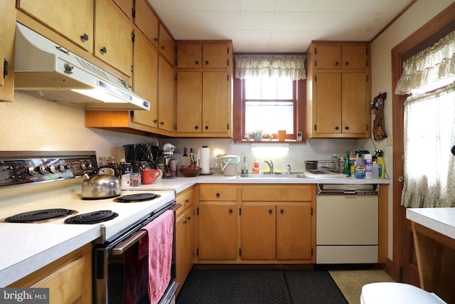 441-445 Ridge Ave, State College, PA 16803 - kitchen featuring electric stove, dishwasher, a sink, under cabinet range hood, and light countertops