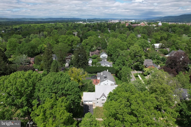 441-445 Ridge Ave, State College, PA 16803 - aerial view of a heavily wooded area