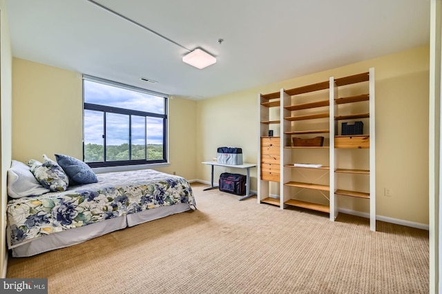 1 Smeton Pl Unit 1004, Towson, MD 21204 - carpeted bedroom featuring baseboards