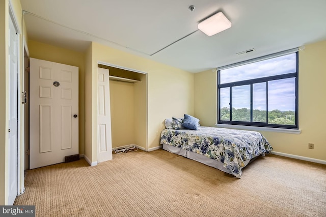 1 Smeton Pl Unit 1004, Towson, MD 21204 - bedroom with carpet, baseboards, and a closet