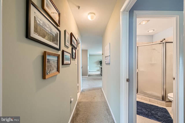 1 Smeton Pl Unit 1004, Towson, MD 21204 - hall with carpet and baseboards