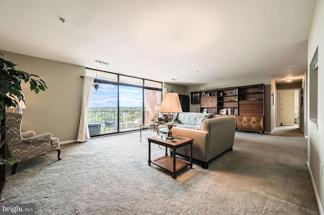 1 Smeton Pl Unit 1004, Towson, MD 21204 - living area featuring floor to ceiling windows, light colored carpet, and baseboards