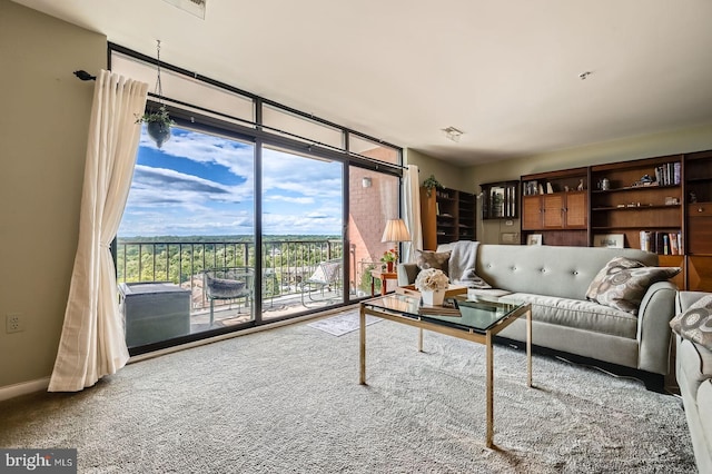 1 Smeton Pl Unit 1004, Towson, MD 21204 - carpeted living area with floor to ceiling windows and baseboards