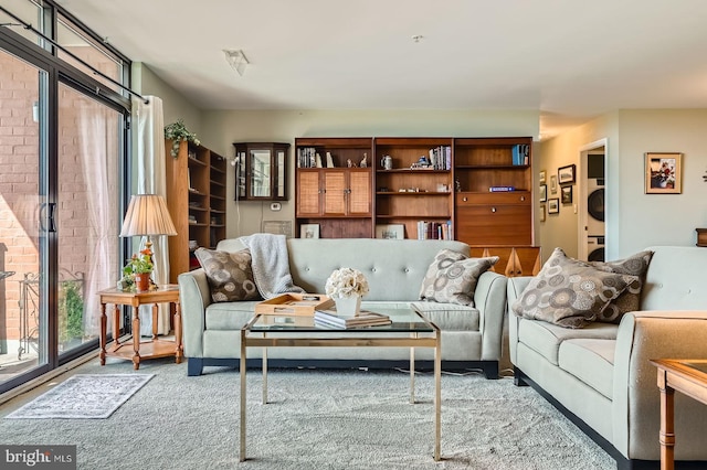 1 Smeton Pl Unit 1004, Towson, MD 21204 - living room with carpet