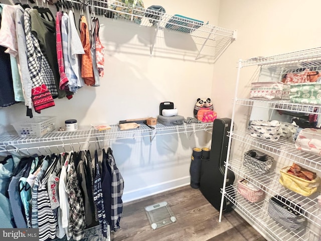 10407 Ratcliffe Trl, Manassas, VA 20110 - spacious closet featuring wood finished floors