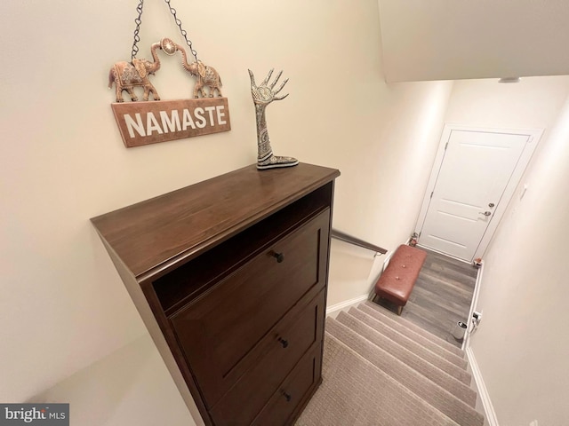 10407 Ratcliffe Trl, Manassas, VA 20110 - stairway with baseboards and carpet flooring
