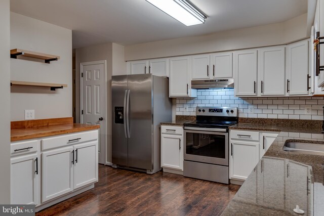 1451 Apple, Saint Leonard, MD 20685 - kitchen featuring appliances with stainless steel finishes, open shelves, under cabinet range hood, dark wood-style flooring, and a sink