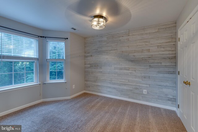 1451 Apple, Saint Leonard, MD 20685 - carpeted empty room with wooden walls and baseboards