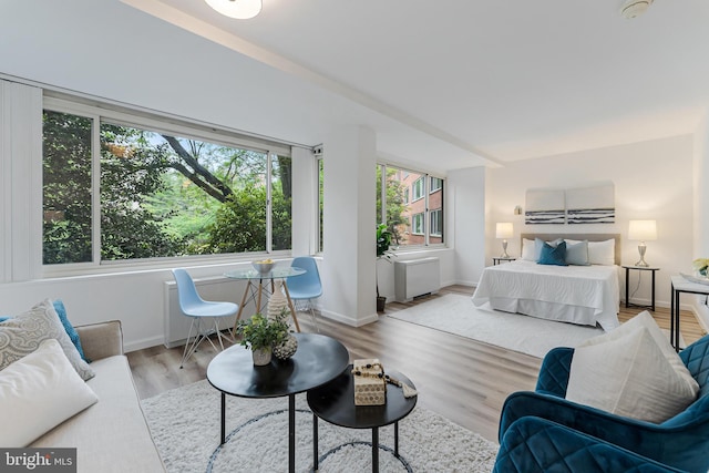 4000 Tunlaw Rd NW Unit 603, Washington, DC 20007 - bedroom featuring light wood-style flooring, radiator heating unit, and baseboards