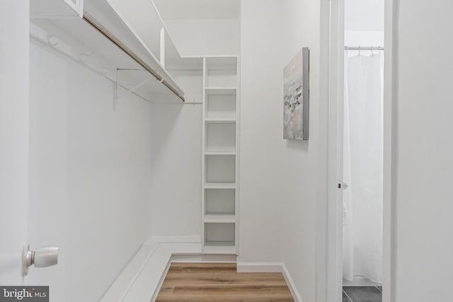 4000 Tunlaw Rd NW Unit 603, Washington, DC 20007 - walk in closet with light wood-style flooring