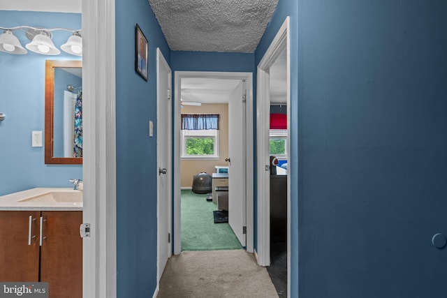 12413 Barbary Rd, Philadelphia, PA 19154 - hallway featuring carpet flooring, a sink, a textured ceiling, and baseboards