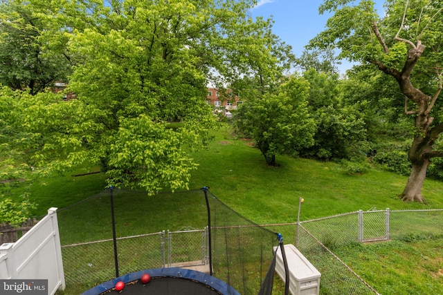 12413 Barbary Rd, Philadelphia, PA 19154 - view of yard