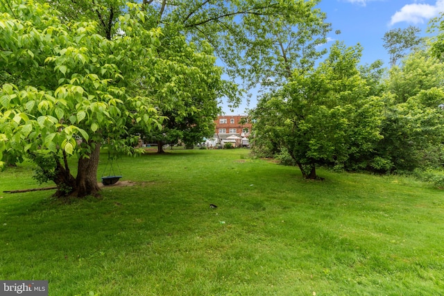 12413 Barbary Rd, Philadelphia, PA 19154 - view of grassy yard