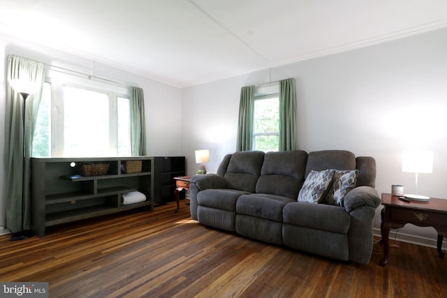 250 E Main St, Millheim, PA 16854 - living room featuring dark wood-style flooring and crown molding