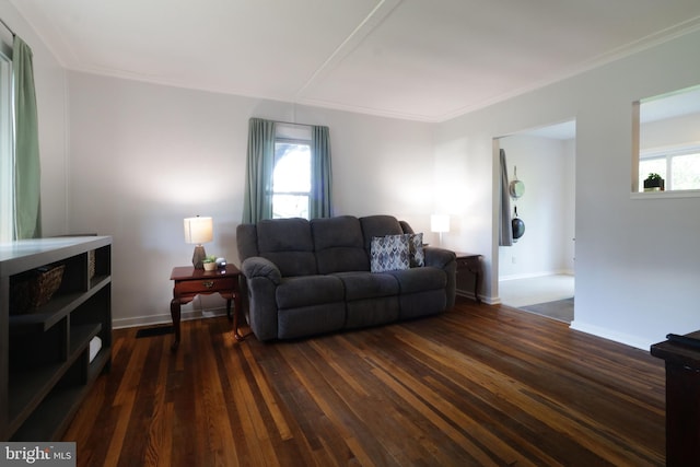 250 E Main St, Millheim, PA 16854 - living room with dark wood finished floors, ornamental molding, and baseboards