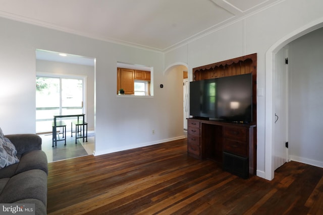 250 E Main St, Millheim, PA 16854 - living room with crown molding, dark wood-style floors, arched walkways, and baseboards