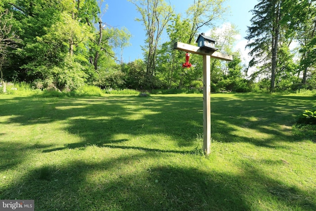 250 E Main St, Millheim, PA 16854 - view of green lawn