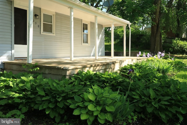 250 E Main St, Millheim, PA 16854 - view of porch