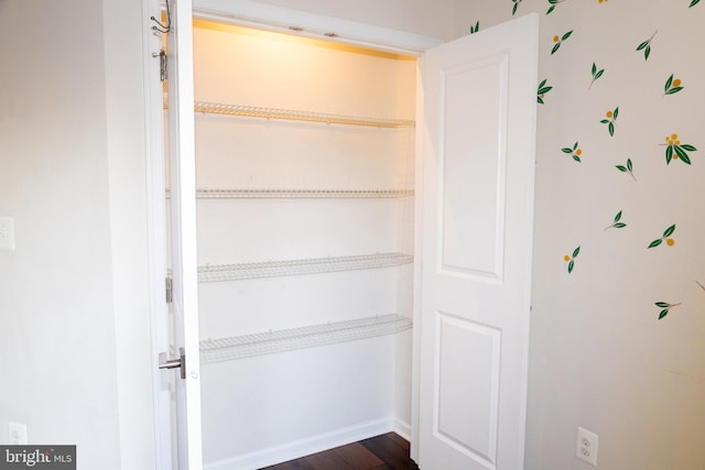 42624 Lisburn Chase Ter, Chantilly, VA 20152 - view of closet