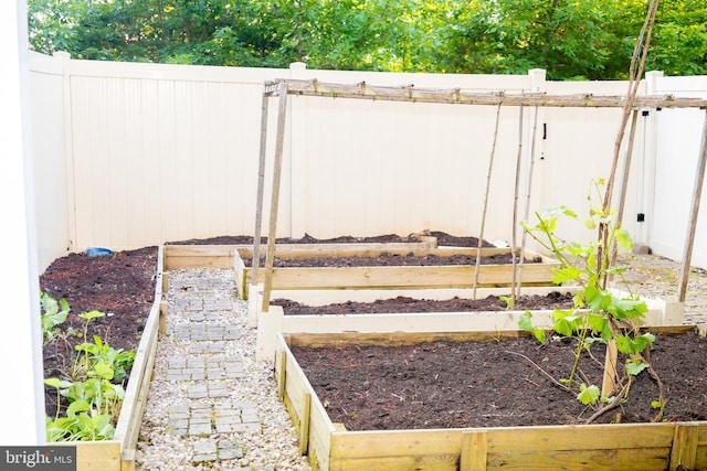 42624 Lisburn Chase Ter, Chantilly, VA 20152 - view of yard featuring a vegetable garden
