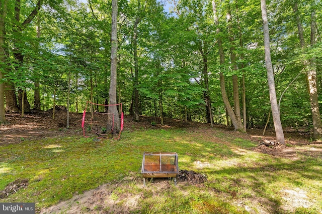 9380 Caucus Dr, King George, VA 22485 - view of yard