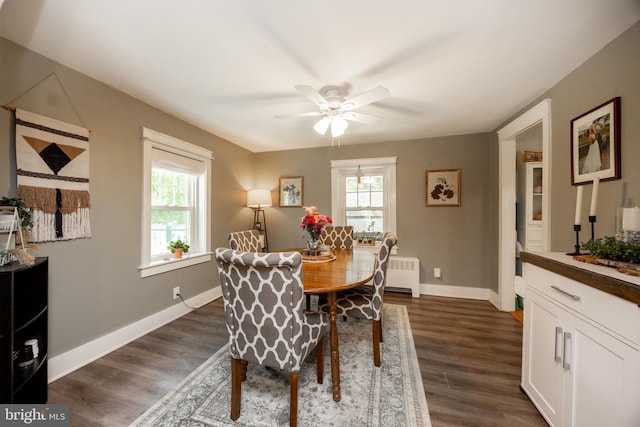 951 Little Conestoga Rd, Glenmoore, PA 19343 - dining area with radiator heating unit, healthy amount of natural light, a ceiling fan, and dark wood finished floors