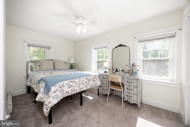 951 Little Conestoga Rd, Glenmoore, PA 19343 - bedroom featuring multiple windows, light colored carpet, and baseboards