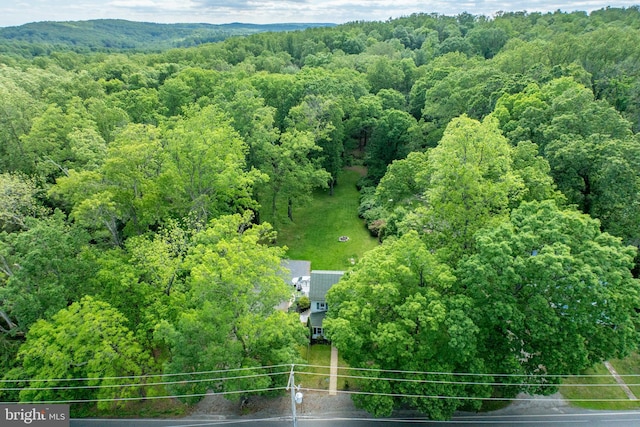 951 Little Conestoga Rd, Glenmoore, PA 19343 - aerial view of a forest