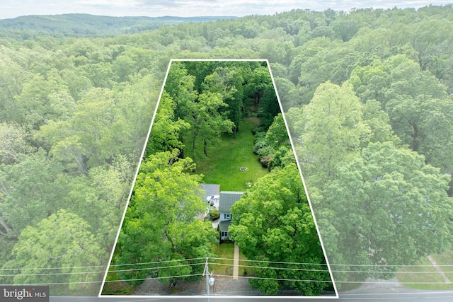 951 Little Conestoga Rd, Glenmoore, PA 19343 - aerial view of property and surrounding area with a heavily wooded area and property boundaries highlighted