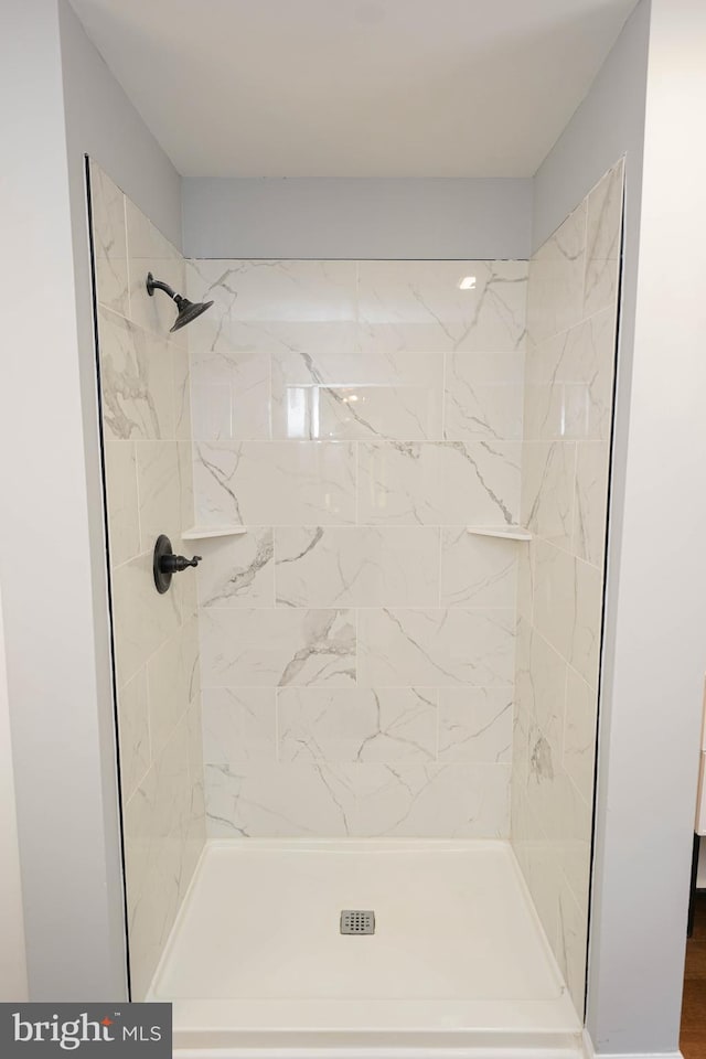 11699 Norris Twilley Rd, Sharptown, MD 21861 - full bathroom featuring a shower stall