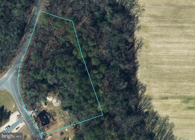 11699 Norris Twilley Rd, Sharptown, MD 21861 - aerial map of property and surrounding area with property boundaries highlighted