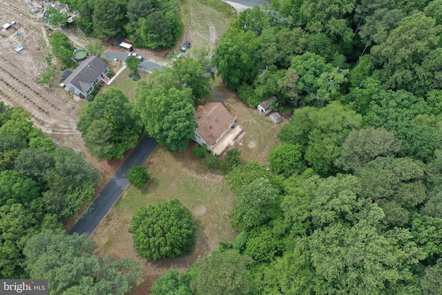 11699 Norris Twilley Rd, Sharptown, MD 21861 - aerial view of property's location