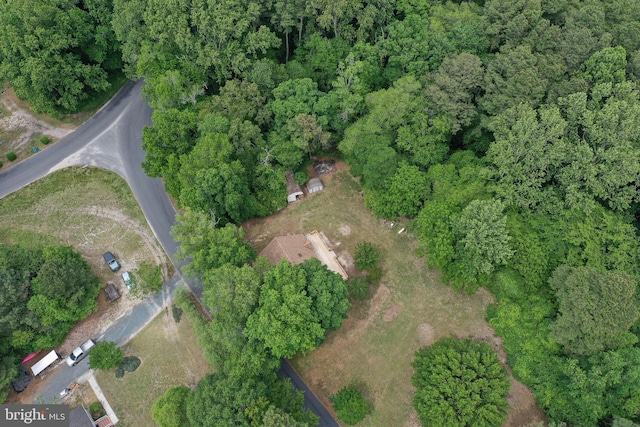 11699 Norris Twilley Rd, Sharptown, MD 21861 - view of property location