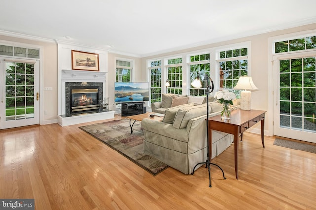 living room featuring wood finished floors, ornamental molding, a premium fireplace, and baseboards