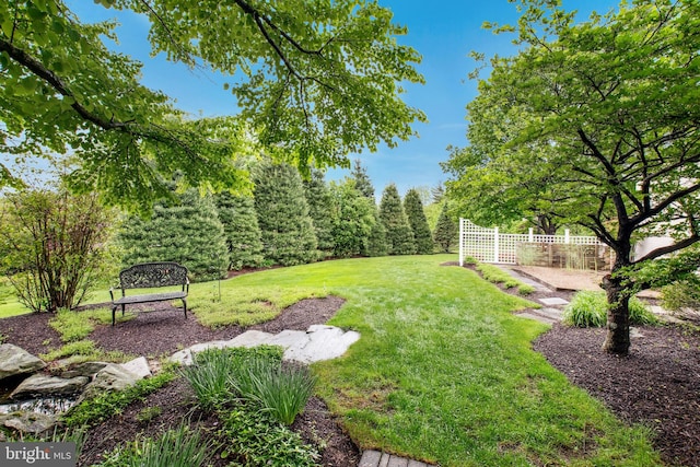 view of yard