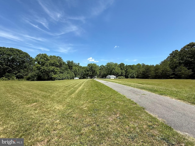 10491 Oak Tree Dr, King George, VA 22485 - view of asphalt driveway featuring a wooded view