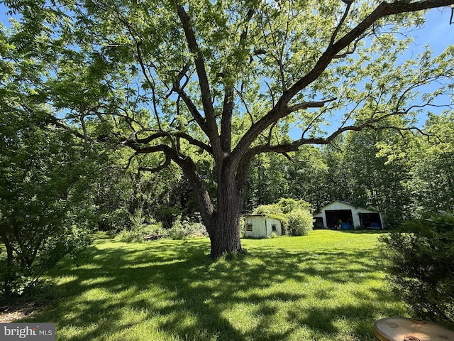 10491 Oak Tree Dr, King George, VA 22485 - view of grassy yard featuring an outbuilding, a detached garage, and a view of trees