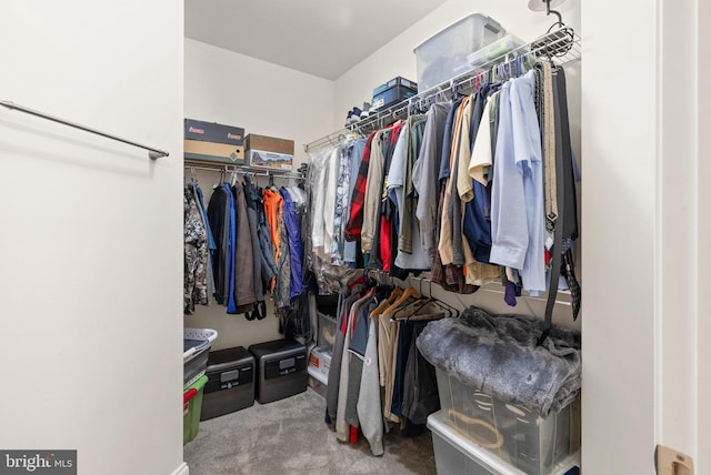 355 Tufton Cir, Fallston, MD 21047 - walk in closet with carpet